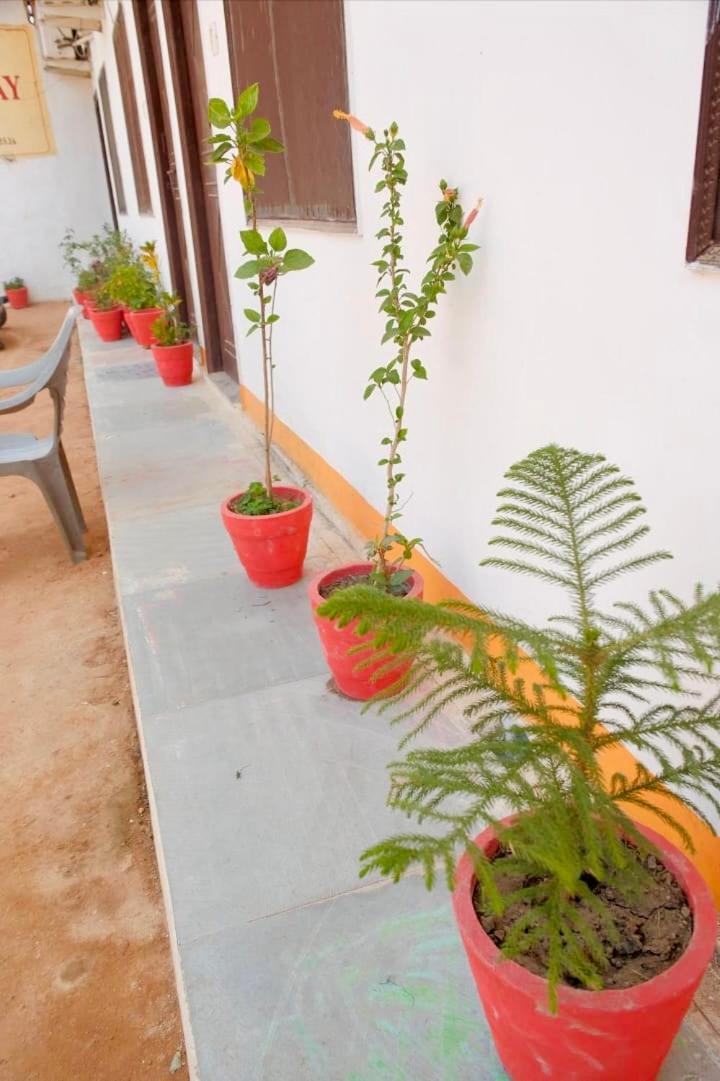 Backpackers Karma Home Stay ขชุราโห ภายนอก รูปภาพ