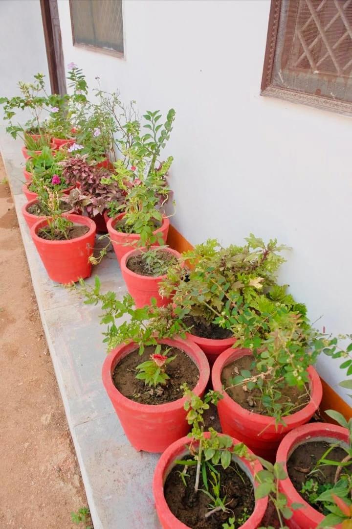 Backpackers Karma Home Stay ขชุราโห ภายนอก รูปภาพ